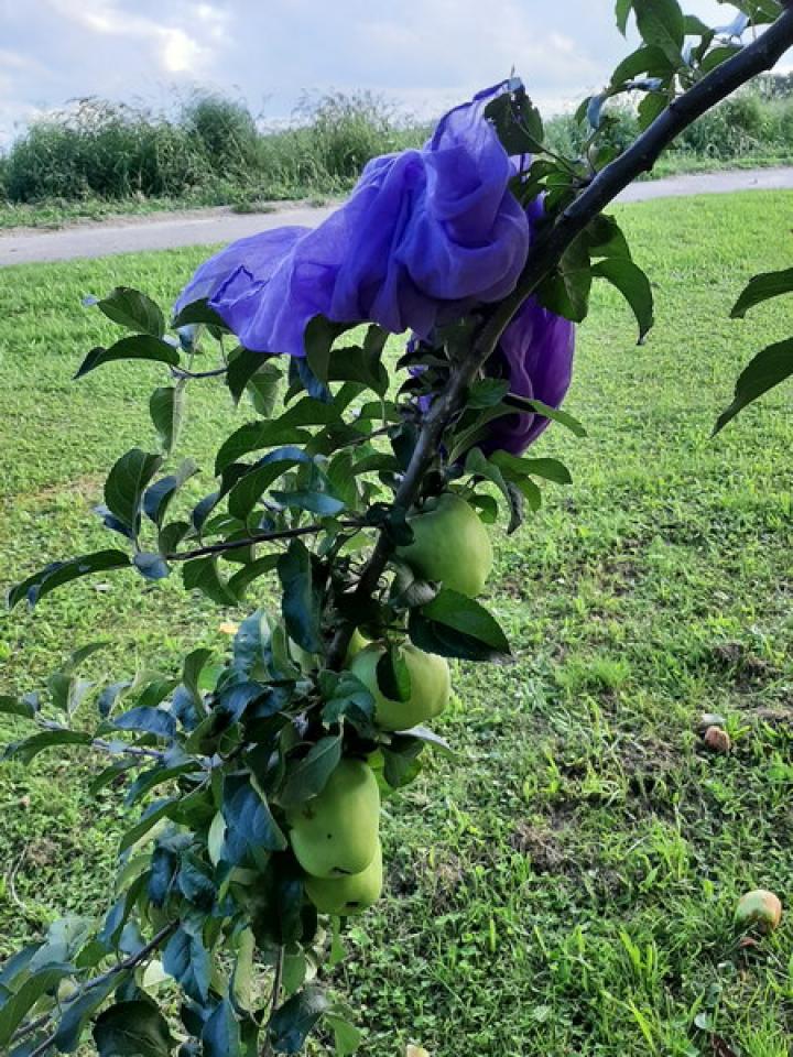 thumb_ek_00011.jpg
